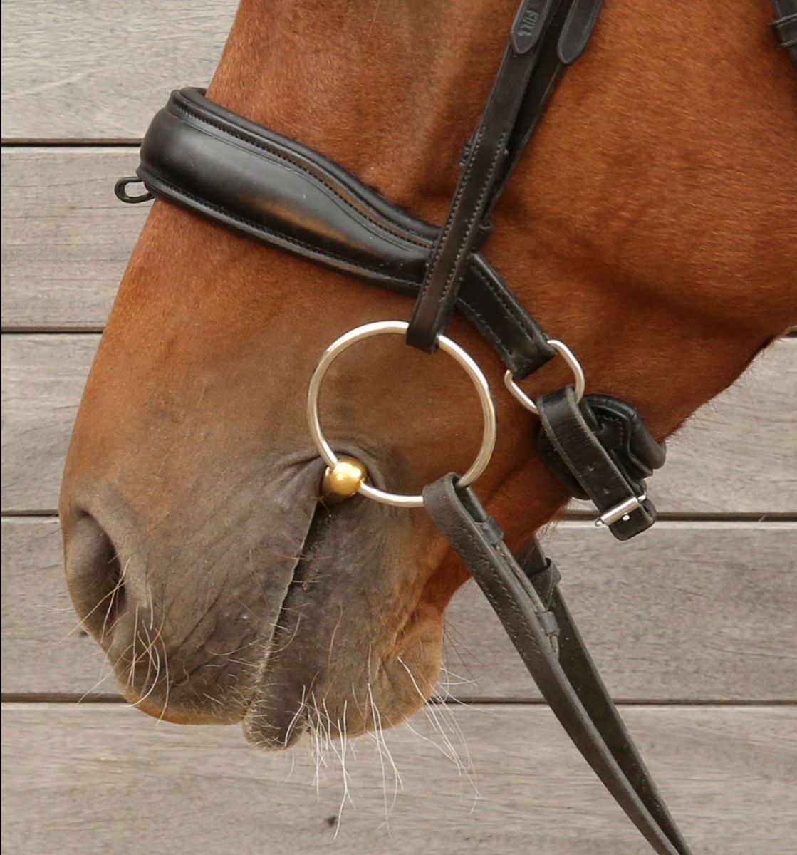 Starter Loose Ring Snaffle